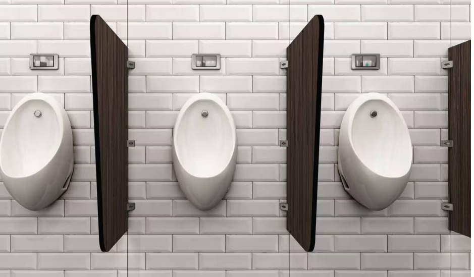 Urinal Partitions